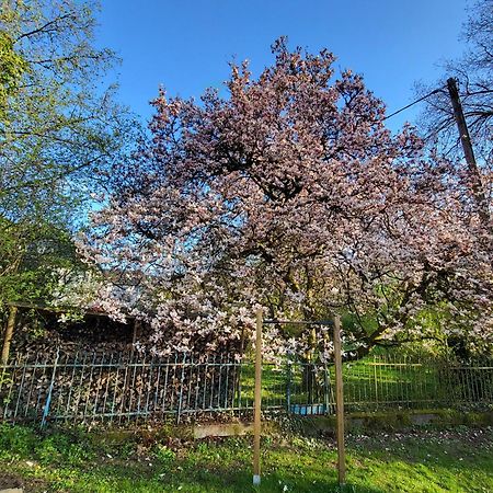 Bergischer Hof - Bergischer Hofgarten Windeck Bagian luar foto
